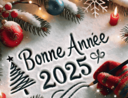 Joyeuses fêtes et bonne année 2025